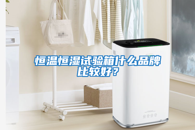 恒溫恒濕試驗(yàn)箱什么品牌比較好？