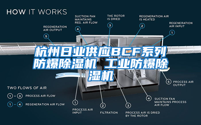 杭州日業(yè)供應(yīng)BCF系列防爆除濕機(jī) 工業(yè)防爆除濕機(jī)