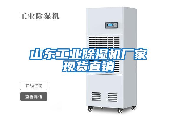 山東工業(yè)除濕機廠家現(xiàn)貨直銷