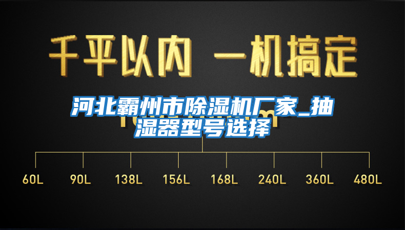 河北霸州市除濕機廠家_抽濕器型號選擇