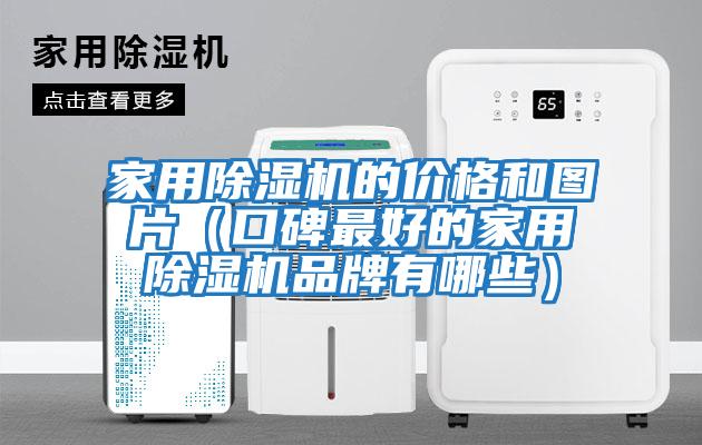 家用除濕機的價格和圖片（口碑最好的家用除濕機品牌有哪些）