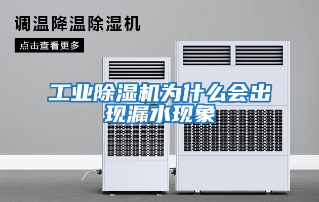 工業(yè)除濕機為什么會出現漏水現象