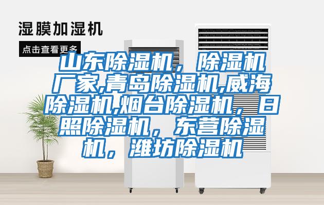 山東除濕機，除濕機廠家,青島除濕機,威海除濕機,煙臺除濕機，日照除濕機，東營除濕機，濰坊除濕機