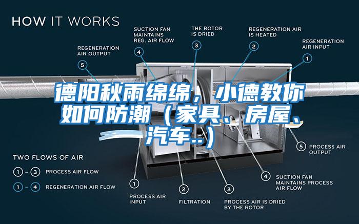 德陽秋雨綿綿，小德教你如何防潮（家具、房屋、汽車..）