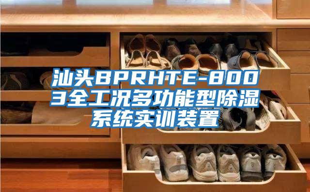 汕頭BPRHTE-8003全工況多功能型除濕系統(tǒng)實訓裝置