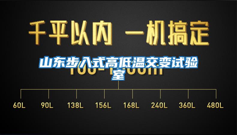 山東步入式高低溫交變?cè)囼?yàn)室