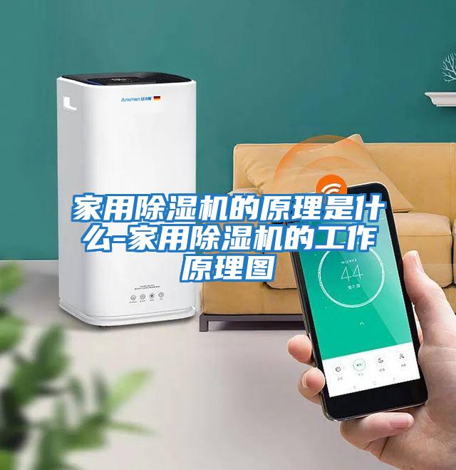 家用除濕機的原理是什么-家用除濕機的工作原理圖