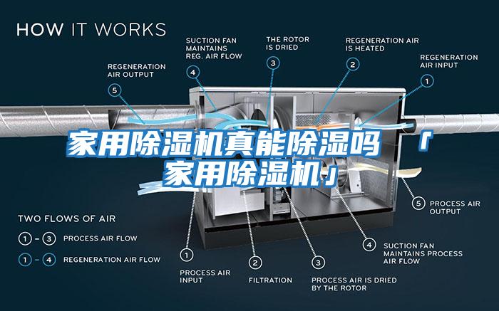 家用除濕機(jī)真能除濕嗎 「家用除濕機(jī)」