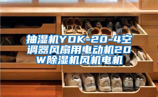 抽濕機(jī)YDK-20-4空調(diào)器風(fēng)扇用電動機(jī)20W除濕機(jī)風(fēng)機(jī)電機(jī)