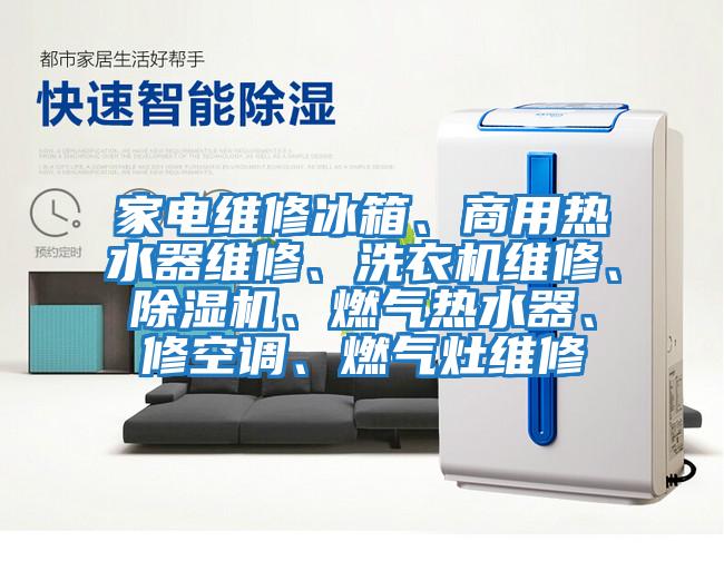 家電維修冰箱、商用熱水器維修、洗衣機維修、除濕機、燃氣熱水器、修空調、燃氣灶維修