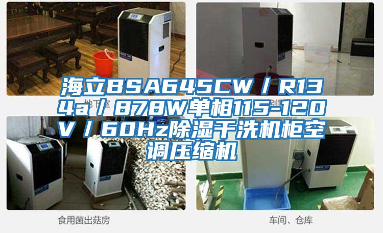 海立BSA645CW／R134a／878W單相115-120V／60Hz除濕干洗機(jī)柜空調(diào)壓縮機(jī)