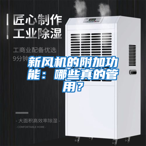 新風機的附加功能：哪些真的管用？