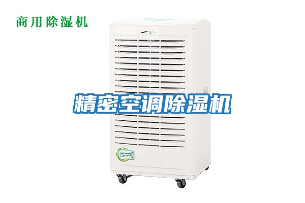 精密空調(diào)除濕機