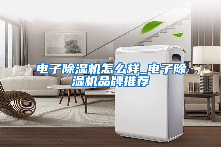 電子除濕機(jī)怎么樣_電子除濕機(jī)品牌推薦