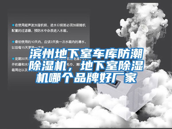 濱州地下室車庫防潮除濕機，地下室除濕機哪個品牌好廠家