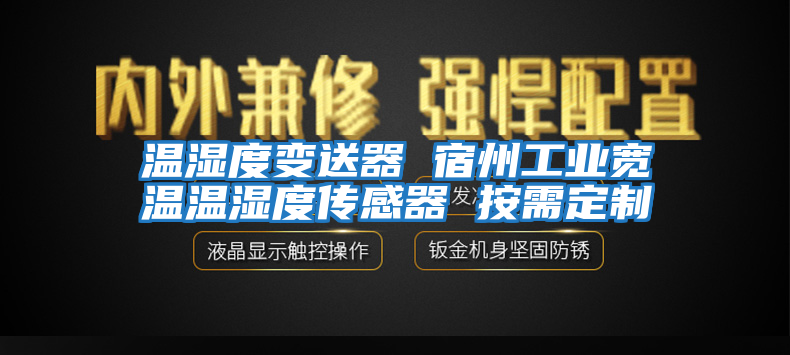 溫濕度變送器 宿州工業(yè)寬溫溫濕度傳感器 按需定制