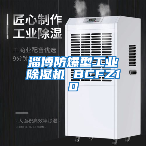 淄博防爆型工業(yè)除濕機(jī) BCFZ10