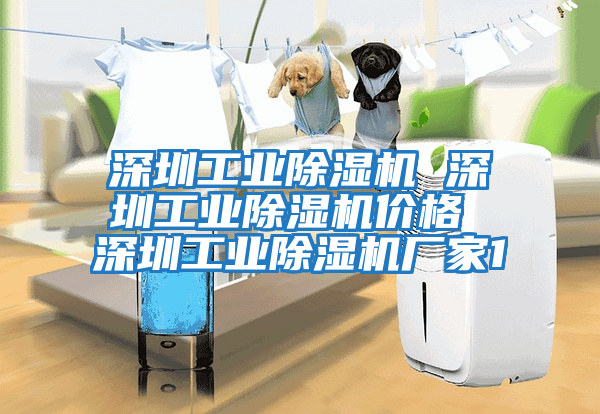 深圳工業(yè)除濕機(jī) 深圳工業(yè)除濕機(jī)價(jià)格 深圳工業(yè)除濕機(jī)廠家1