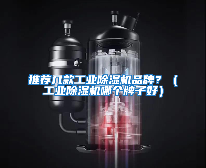 推薦幾款工業(yè)除濕機品牌？（工業(yè)除濕機哪個牌子好）