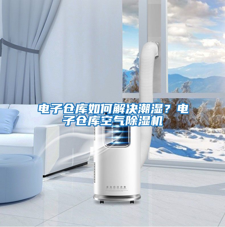 電子倉庫如何解決潮濕？電子倉庫空氣除濕機(jī)