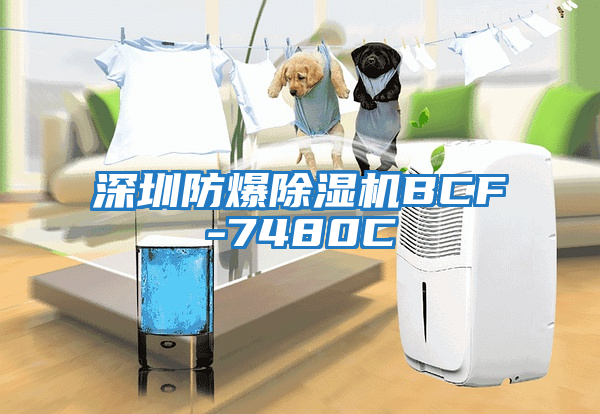 深圳防爆除濕機(jī)BCF-7480C