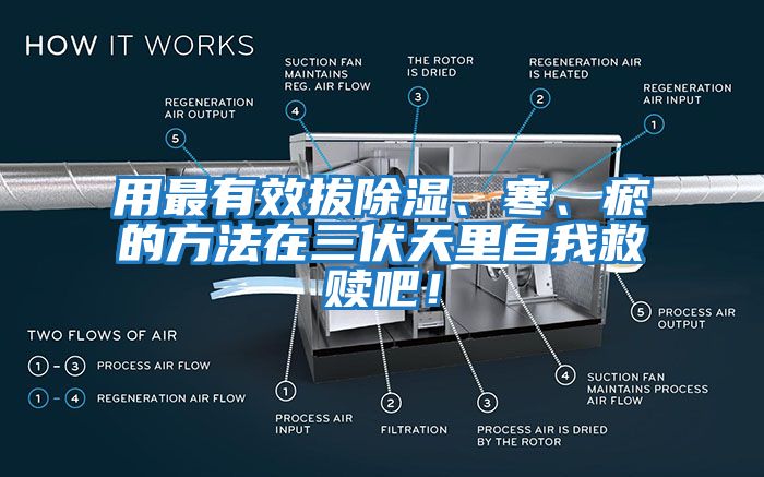 用最有效拔除濕、寒、瘀的方法在三伏天里自我救贖吧！