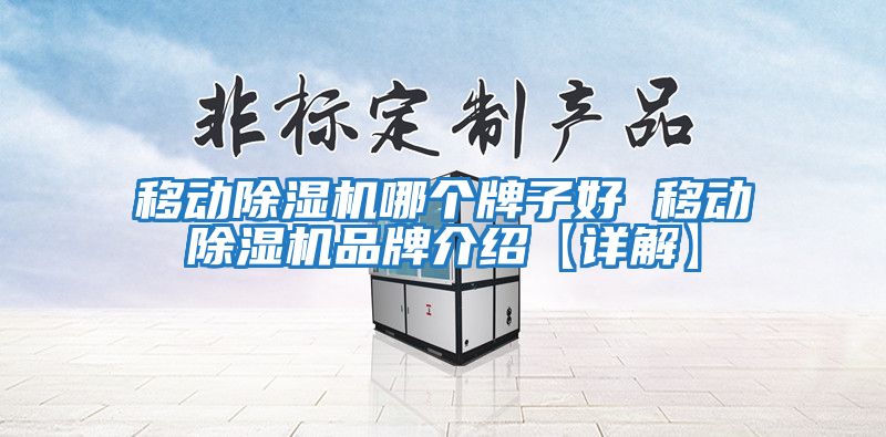 移動除濕機哪個牌子好 移動除濕機品牌介紹【詳解】