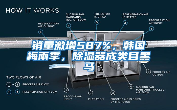 銷量激增587%，韓國梅雨季，除濕器成類目黑馬