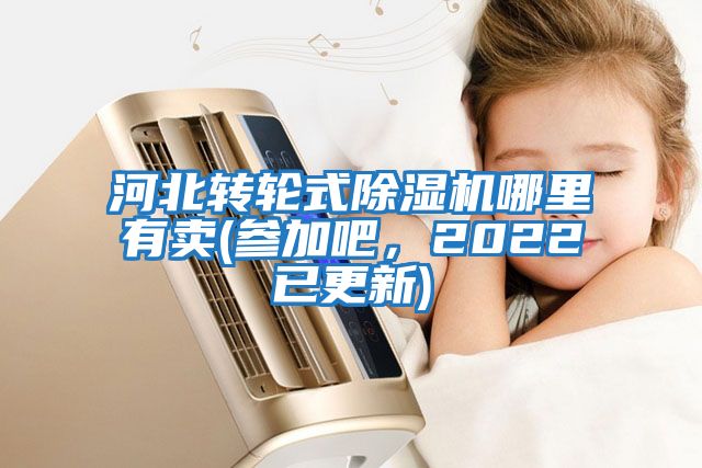 河北轉(zhuǎn)輪式除濕機(jī)哪里有賣(參加吧，2022已更新)