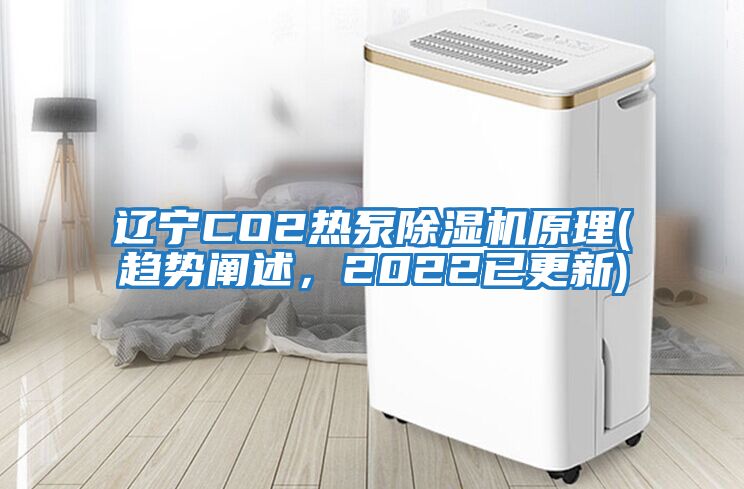 遼寧CO2熱泵除濕機(jī)原理(趨勢(shì)闡述，2022已更新)