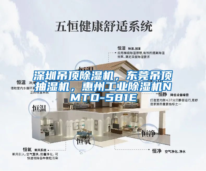 深圳吊頂除濕機，東莞吊頂抽濕機，惠州工業(yè)除濕機NMTD-581E