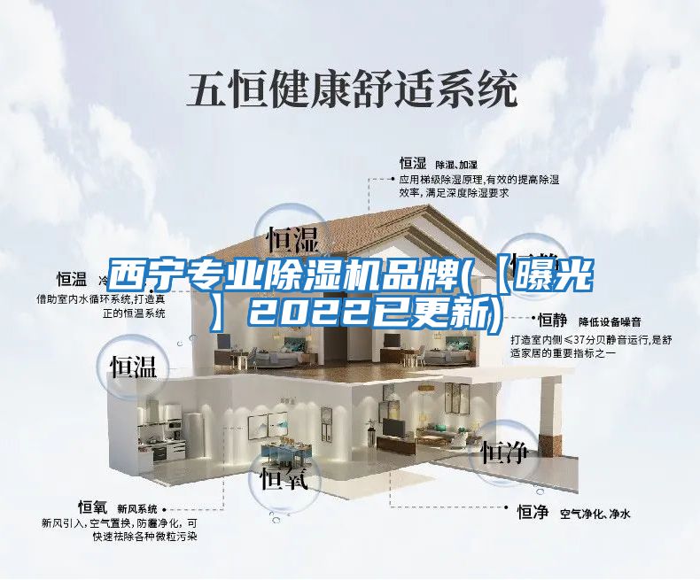 西寧專業(yè)除濕機(jī)品牌(【曝光】2022已更新)