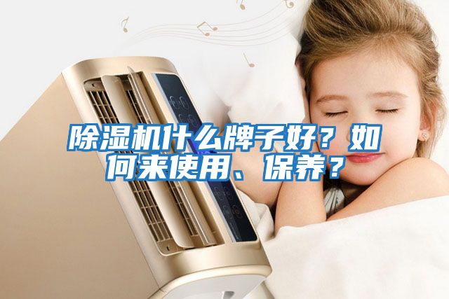 除濕機(jī)什么牌子好？如何來(lái)使用、保養(yǎng)？