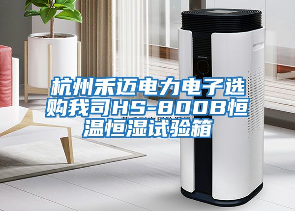 杭州禾邁電力電子選購我司HS-800B恒溫恒濕試驗(yàn)箱