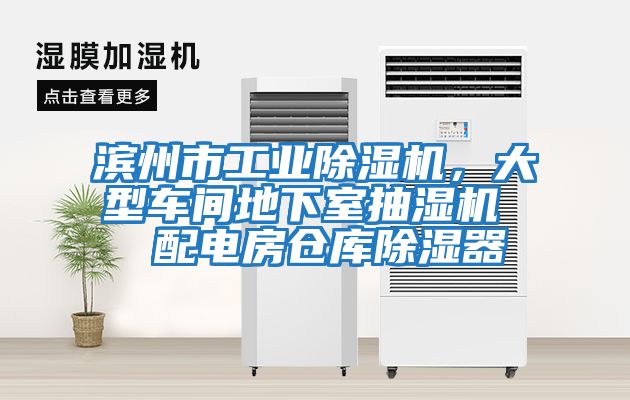 濱州市工業(yè)除濕機，大型車間地下室抽濕機  配電房倉庫除濕器