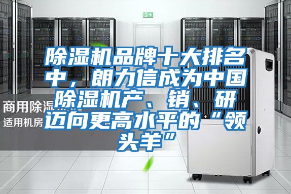 除濕機品牌十大排名中，朗力信成為中國除濕機產(chǎn)、銷、研邁向更高水平的“領(lǐng)頭羊”