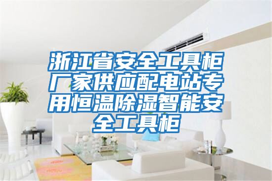 浙江省安全工具柜廠家供應(yīng)配電站專(zhuān)用恒溫除濕智能安全工具柜