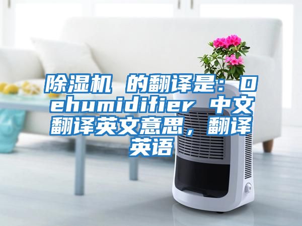 除濕機(jī) 的翻譯是：Dehumidifier 中文翻譯英文意思，翻譯英語(yǔ)