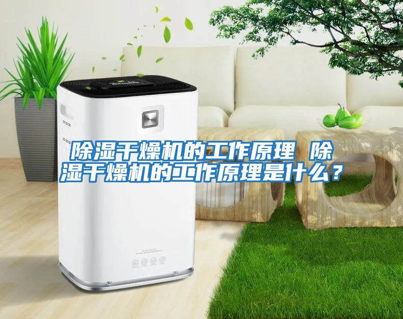 除濕干燥機的工作原理 除濕干燥機的工作原理是什么？