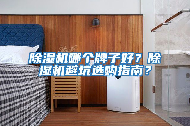 除濕機哪個牌子好？除濕機避坑選購指南？