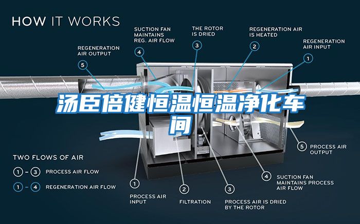 湯臣倍健恒溫恒溫凈化車間