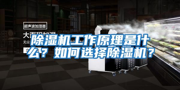 除濕機(jī)工作原理是什么？如何選擇除濕機(jī)？