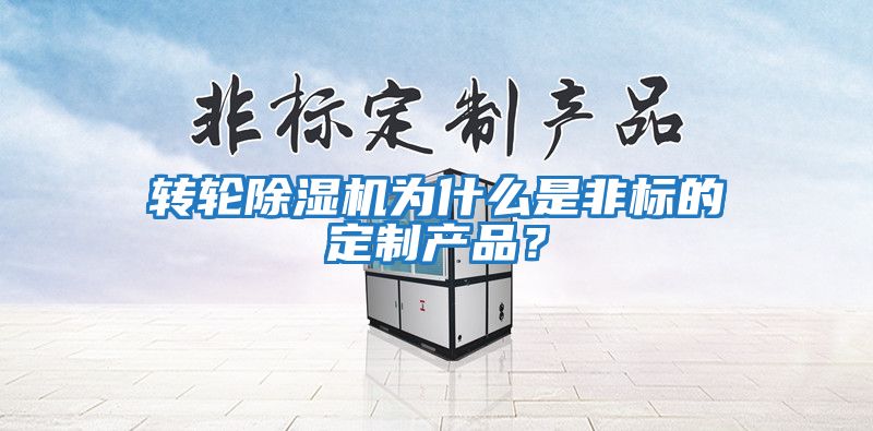 轉輪除濕機為什么是非標的定制產(chǎn)品？