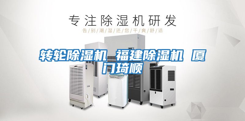 轉(zhuǎn)輪除濕機 福建除濕機 廈門琦順