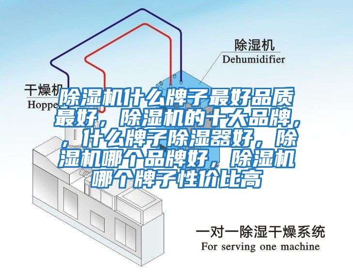 除濕機(jī)什么牌子最好品質(zhì)最好，除濕機(jī)的十大品牌，，什么牌子除濕器好，除濕機(jī)哪個(gè)品牌好，除濕機(jī)哪個(gè)牌子性價(jià)比高