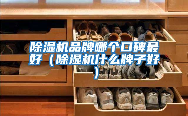 除濕機品牌哪個口碑最好（除濕機什么牌子好）