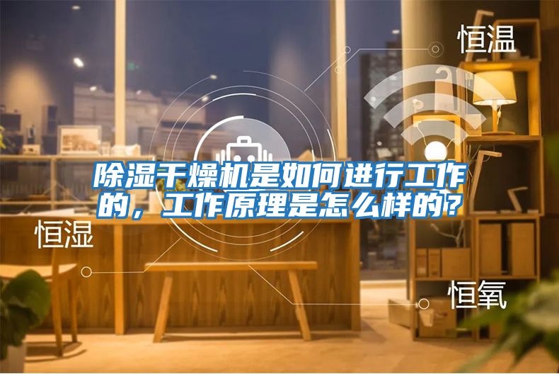 除濕干燥機是如何進行工作的，工作原理是怎么樣的？