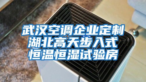 武漢空調企業(yè)定制湖北高天步入式恒溫恒濕試驗房