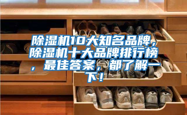 除濕機10大知名品牌，除濕機十大品牌排行榜，最佳答案，都了解一下！