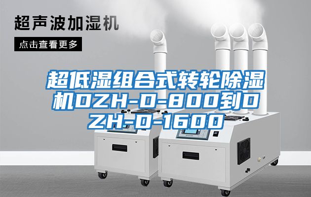 超低濕組合式轉(zhuǎn)輪除濕機(jī)DZH-D-800到DZH-D-1600